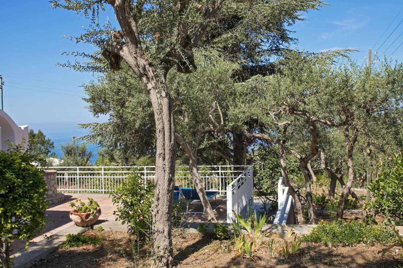 Villa Romano, Anacapri エクステリア 写真